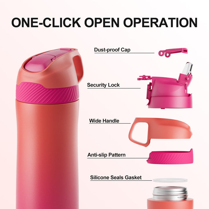 550ml Sports Water Bottle Stainless Steel with Straw, Pink &amp; Blue